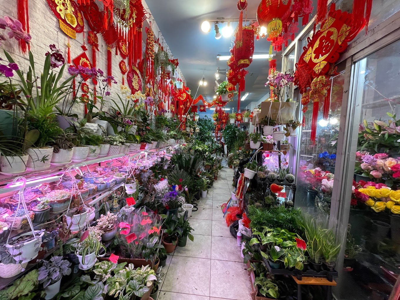 193656jkxsurctk9dgwx9b.jpg